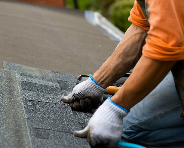 Best Roof Gutter Cleaning  in Valparaiso, FL